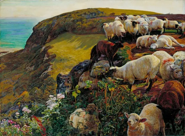 我们的英格兰海岸（迷途的羊）